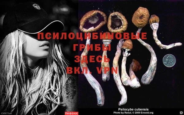 MDMA Волоколамск