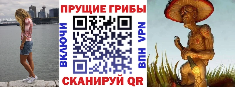 Галлюциногенные грибы GOLDEN TEACHER  мега онион  Дно 